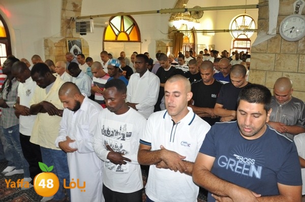 3eed 7san bek 808 (23).JPG